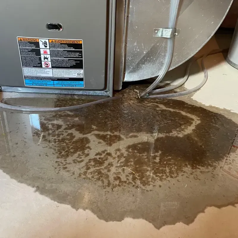 Appliance Leak Cleanup in East Spencer, NC